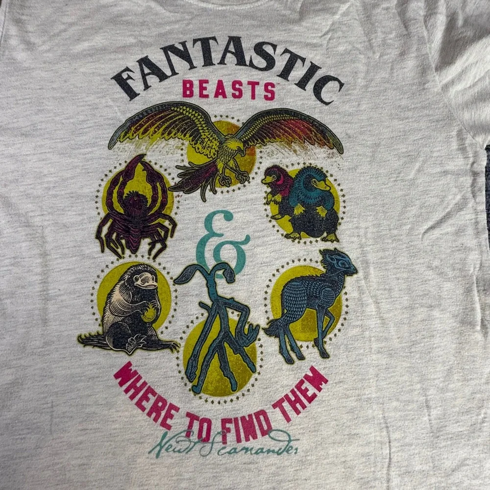 Universal Studios fantastic beasts
